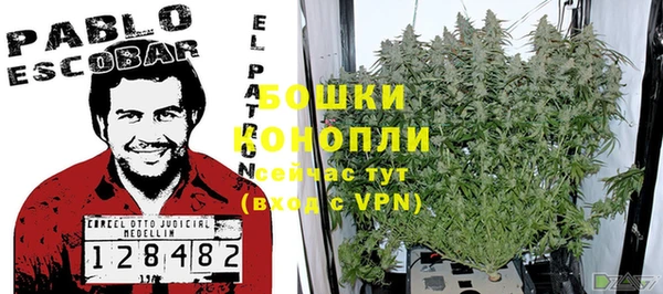 PSILOCYBIN Яранск