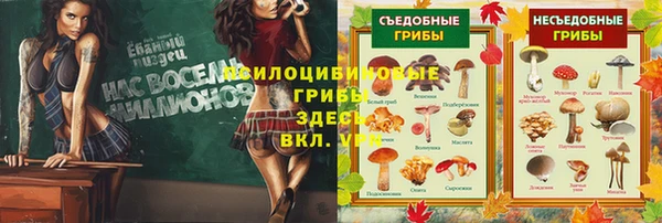 PSILOCYBIN Яранск