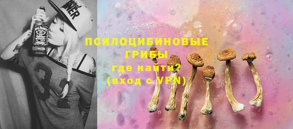PSILOCYBIN Яранск