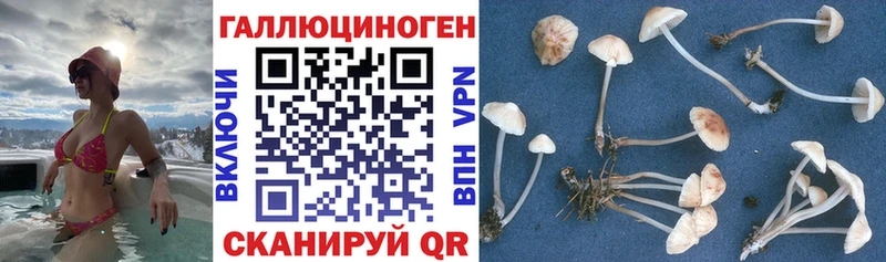 ОМГ ОМГ онион  наркошоп  Сызрань  Галлюциногенные грибы мухоморы 