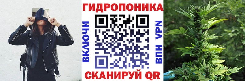 Бошки Шишки индика  Сызрань 